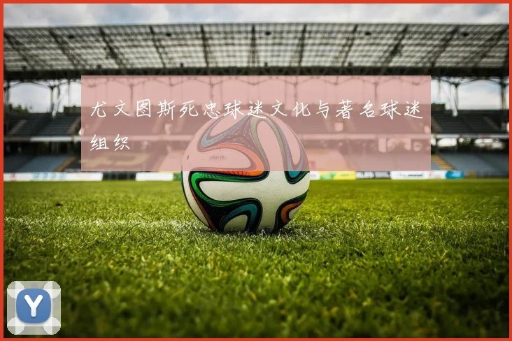 尤文图斯死忠球迷文化与著名球迷组织