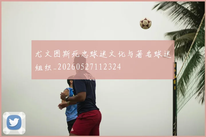 尤文图斯死忠球迷文化与著名球迷组织_20260527112324