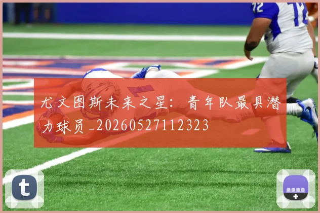 尤文图斯未来之星：青年队最具潜力球员_20260527112323
